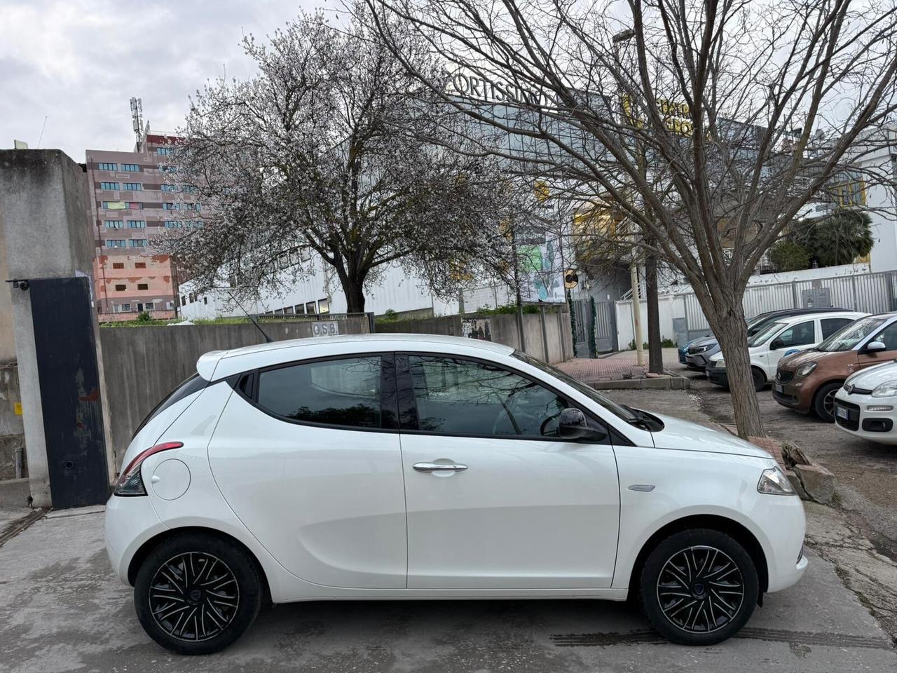 Lancia Ypsilon KM. 12.000! 1.2 BENZ. GOLD