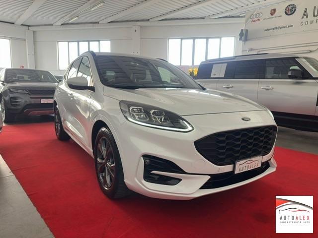 FORD - Kuga 2.0 ecoblue ST-Line 2wd 120cv auto