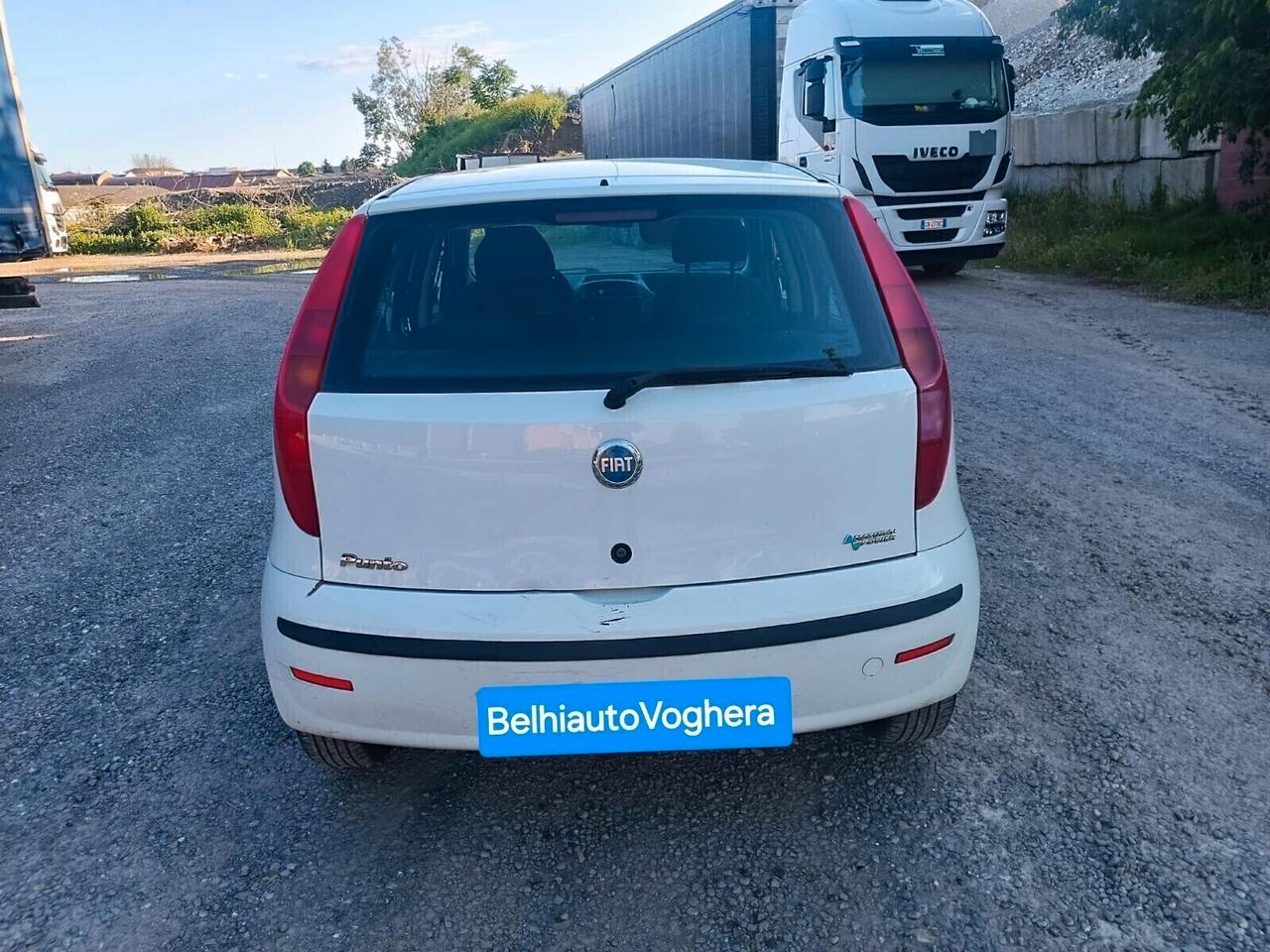 Fiat Punto 2008--1.2 Benzina Metano Neopatentati