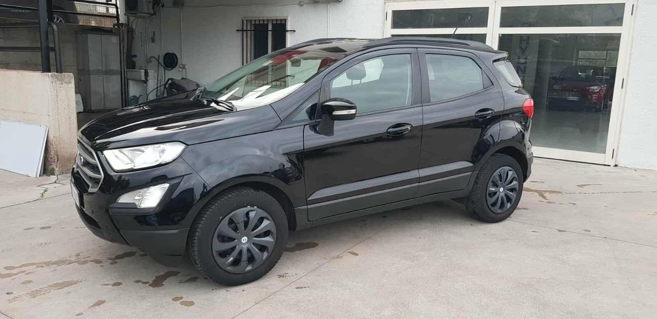 Ford EcoSport 1.0 EcoBoost 100 CV Business