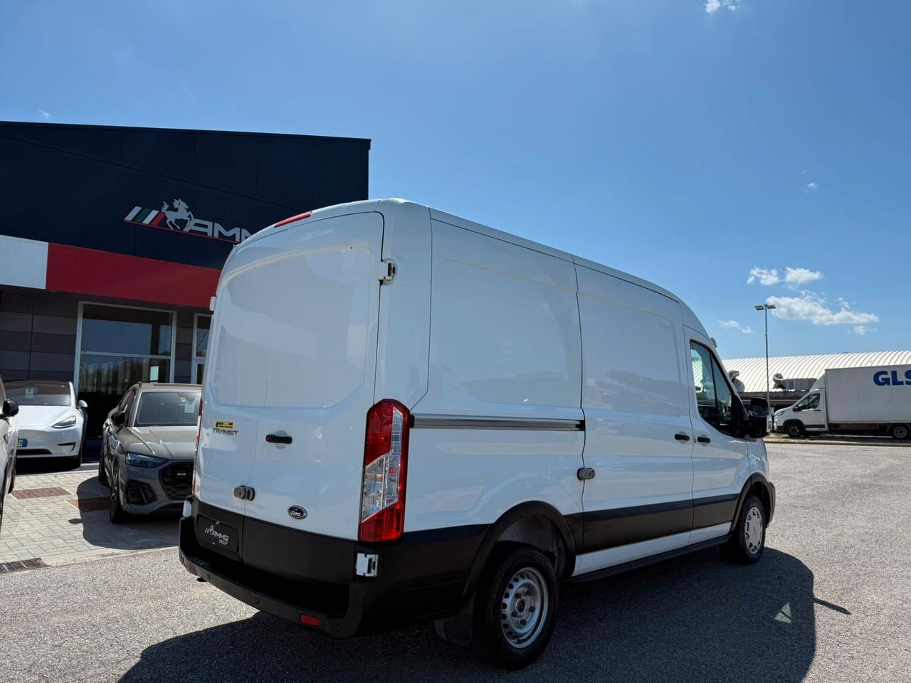 Ford Transit 290 2.0TDCi Eco Blue PM-TM Furgone PREZZO ESCLUSO IVA (029)