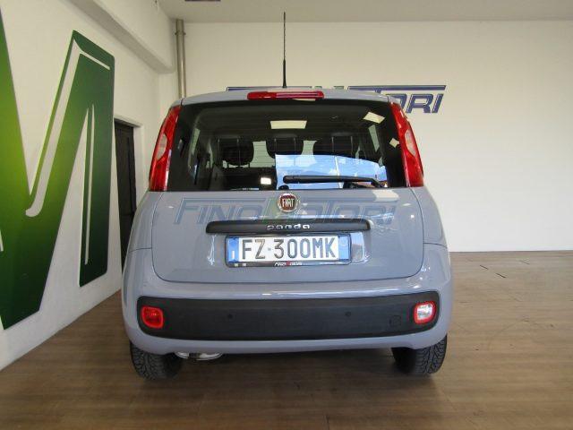 FIAT Panda 1.2 69 CV - 5 POSTI