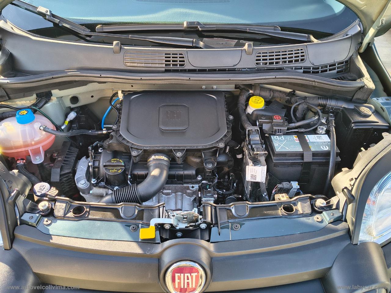 FIAT Panda Cross 1.0 FireFly S&S Hybrid PANDINA