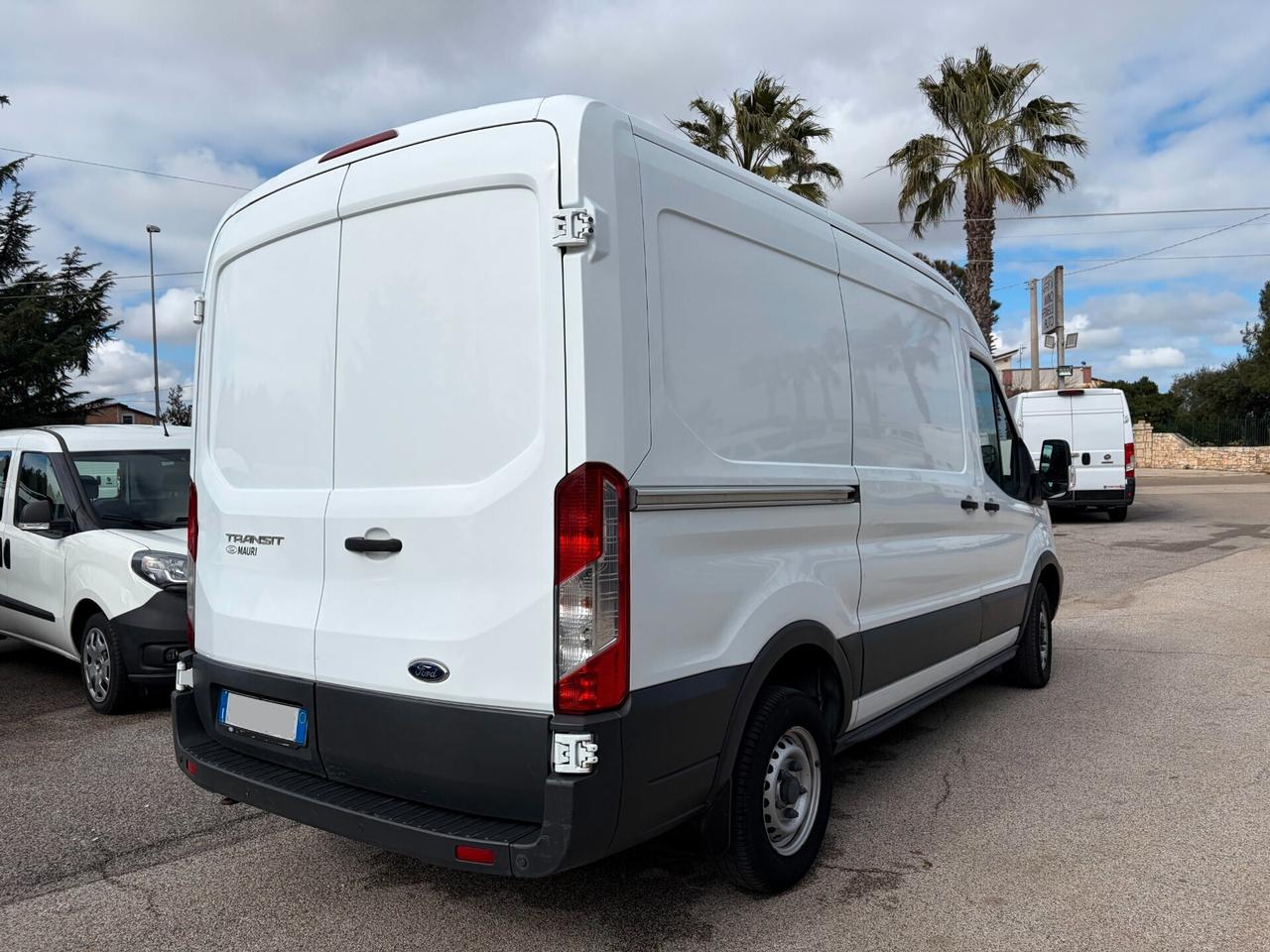 Ford Transit 290 2.2TDCi 100CV PL-TA Furgone Entry