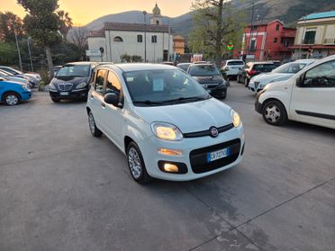 Fiat Panda 1.2 Easy N1 Van 4 posti - 2020