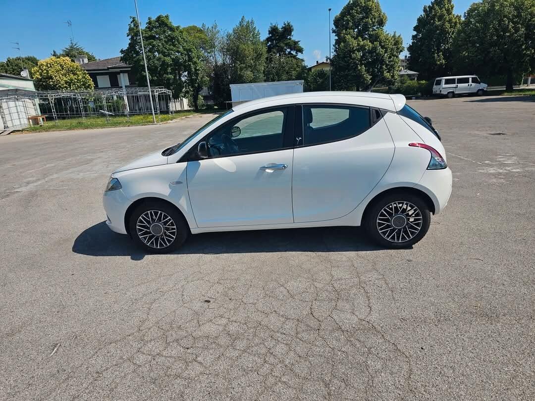 Lancia Ypsilon 1.2 69 CV 5 porte Gold