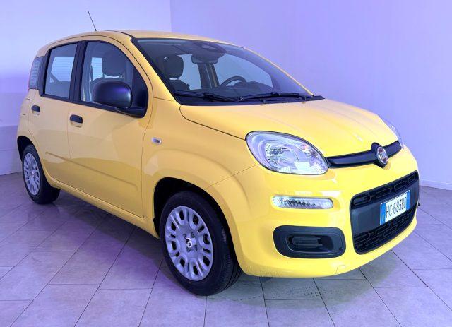 FIAT Pandina 1.0 FireFly 65 CV Hybrid Icon