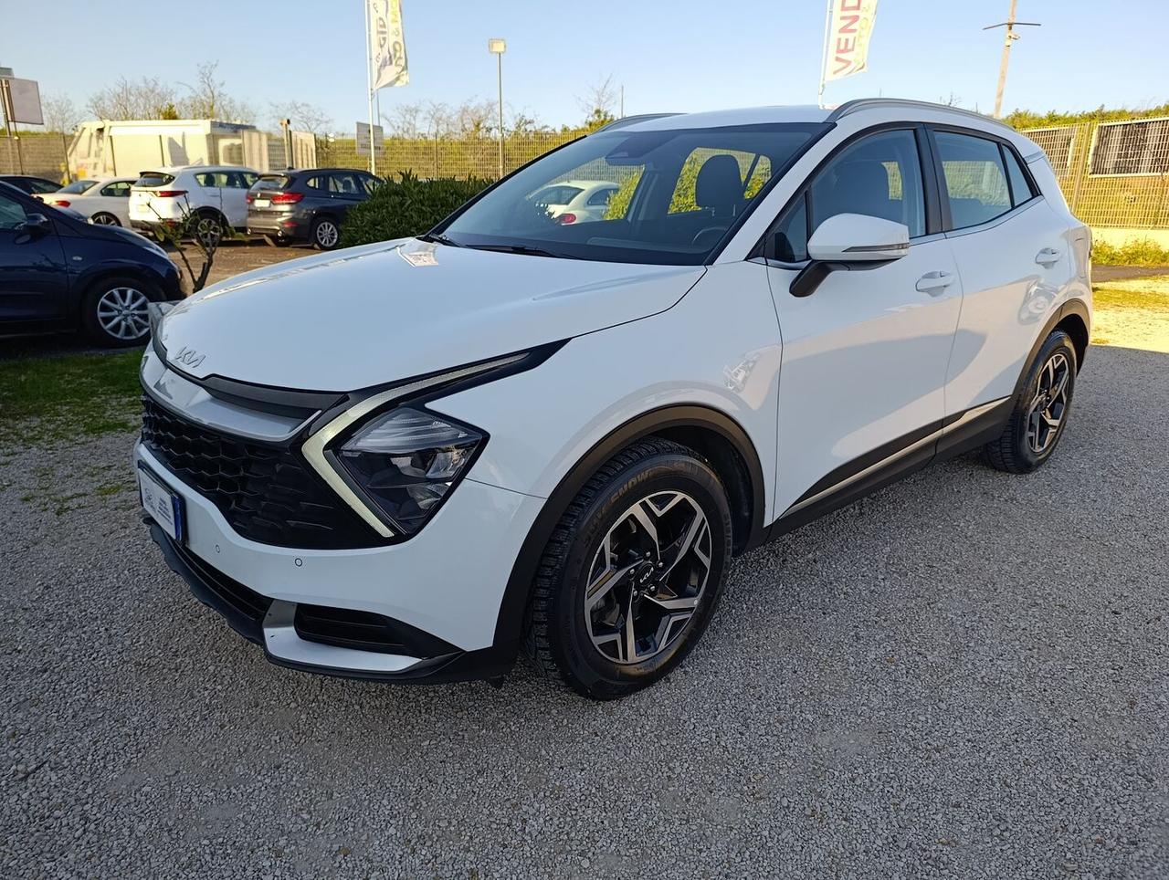 Kia Sportage 1.6 crdi mhev Business dct