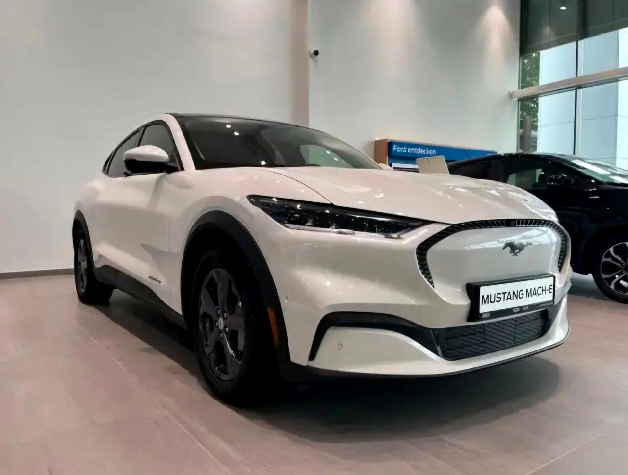 Ford Mustang Mach-E Standard Range 269 CV
