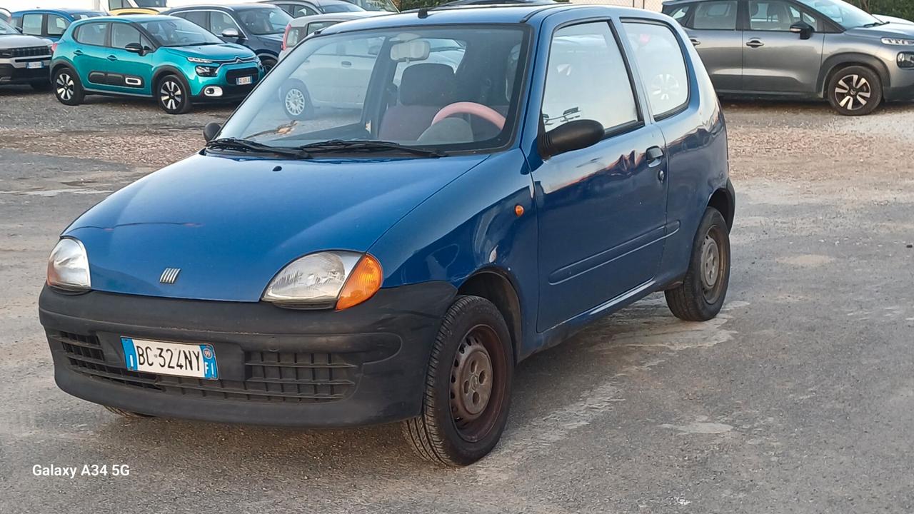 Fiat Seicento 900i cat Young