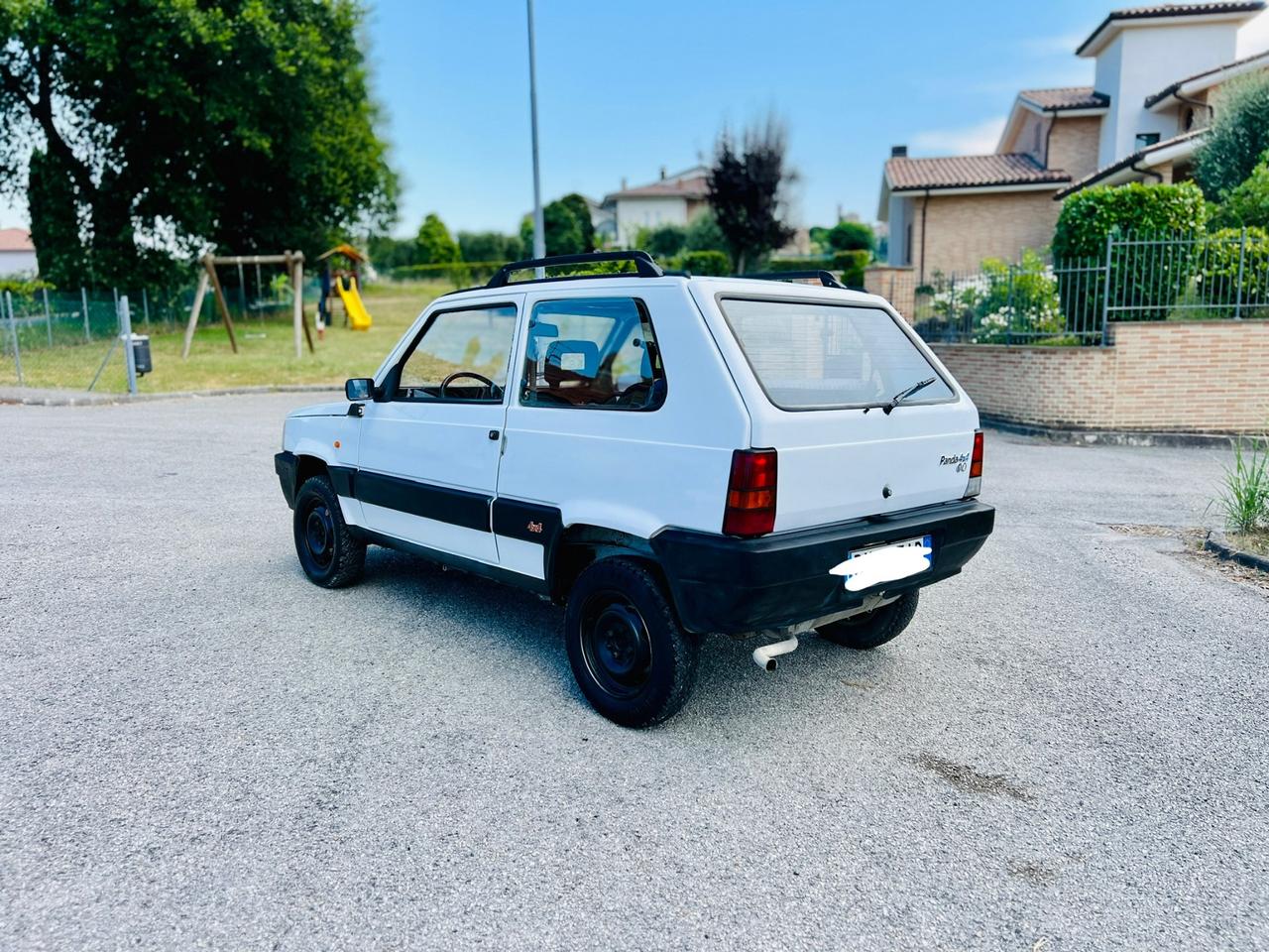 Fiat Panda 4x4 benzina e metano