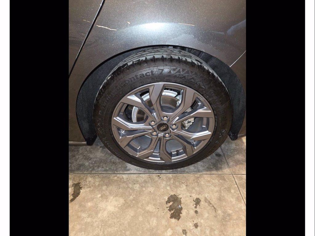 FORD Focus 1.5 ecoblue st-line x 115cv auto del 2023