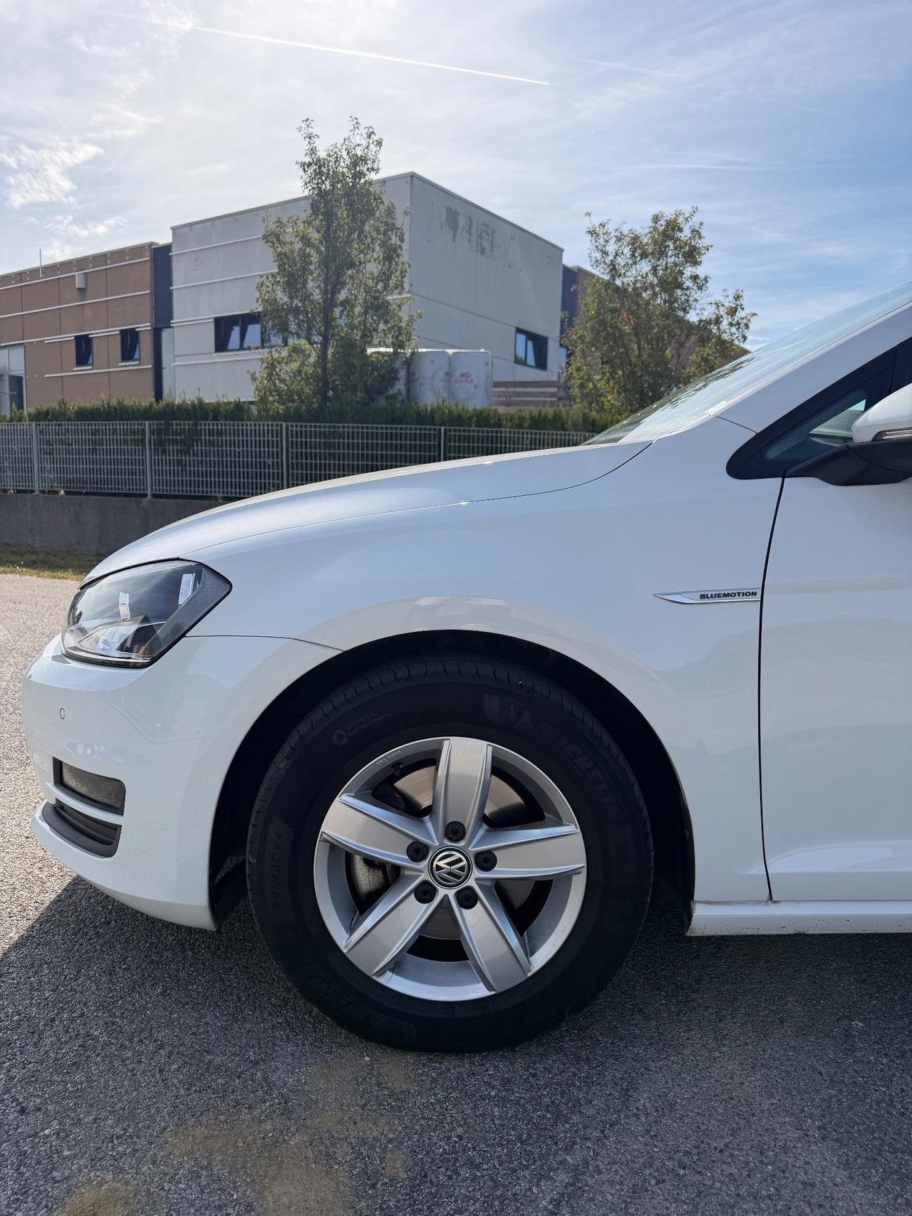 Volkswagen Golf 1.4 TGI 5p. Executive BlueMotion