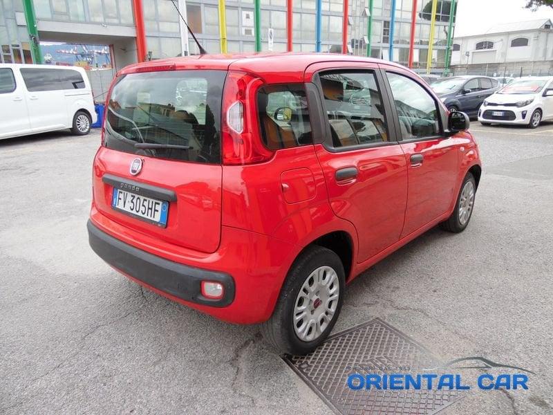FIAT Panda Panda 1.2 IN OTTIME CONDIZIONI