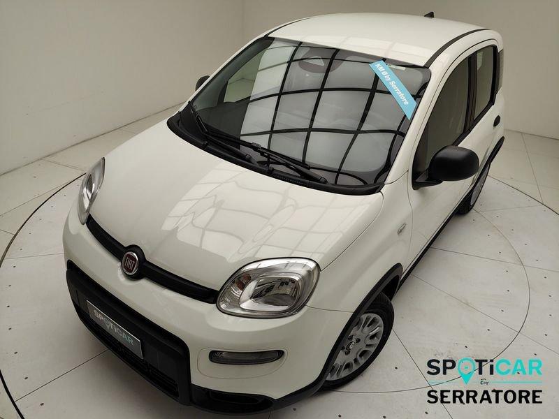 FIAT Pandina Panda Serie 7 1.0 70cv HybridPanda