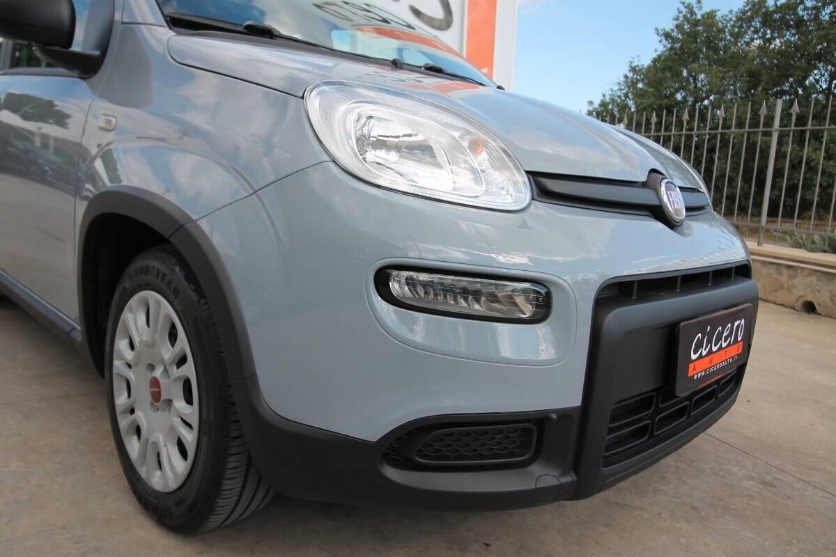 Fiat Panda 1.0 Hybrid City Life 70|36.900km|2023