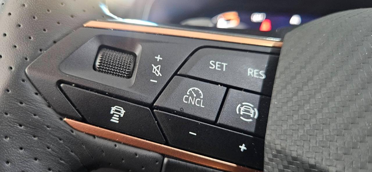 Cupra Leon 2.0 TDI 150 CV DSG Uff. Cupra Italia