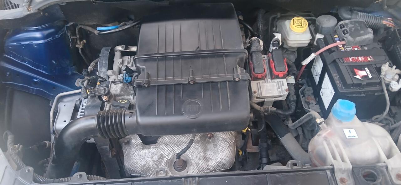 Pochi km grande Punto neopatentati