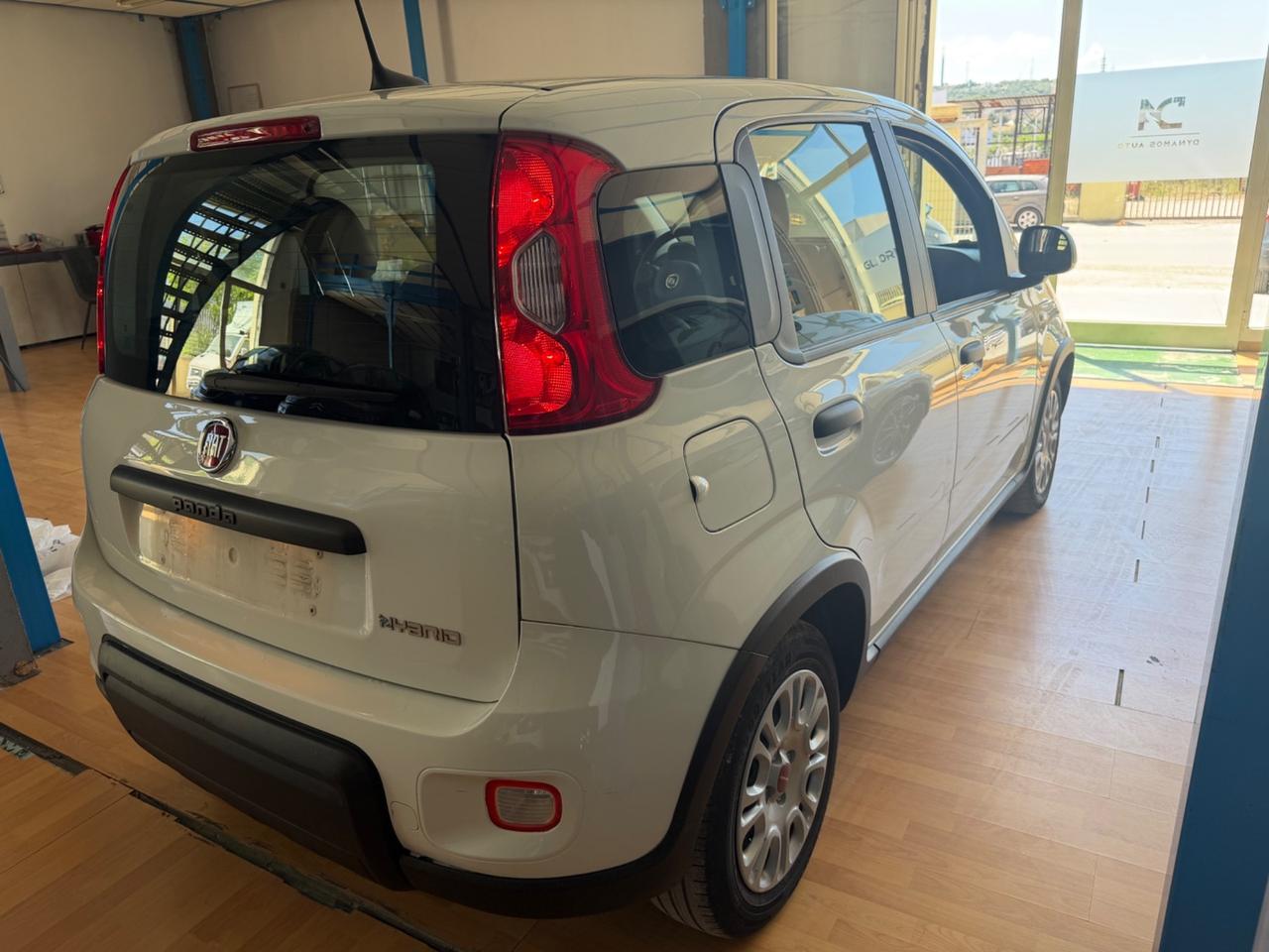 Fiat Panda 1.0 benz/ibrida 2023 Nuova