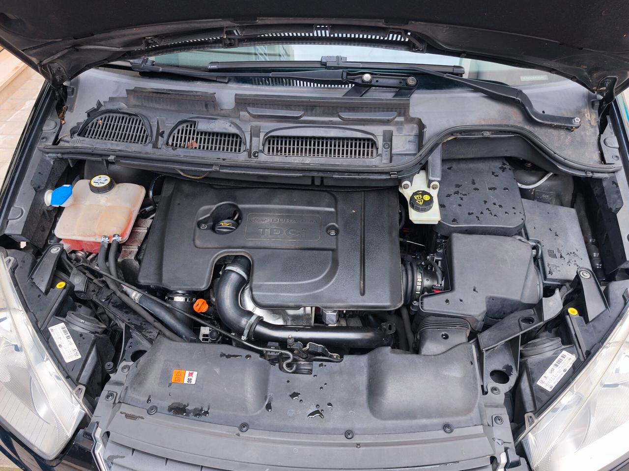 Ford C-Max 1.6 TDCi 90 CV Titanium 2009