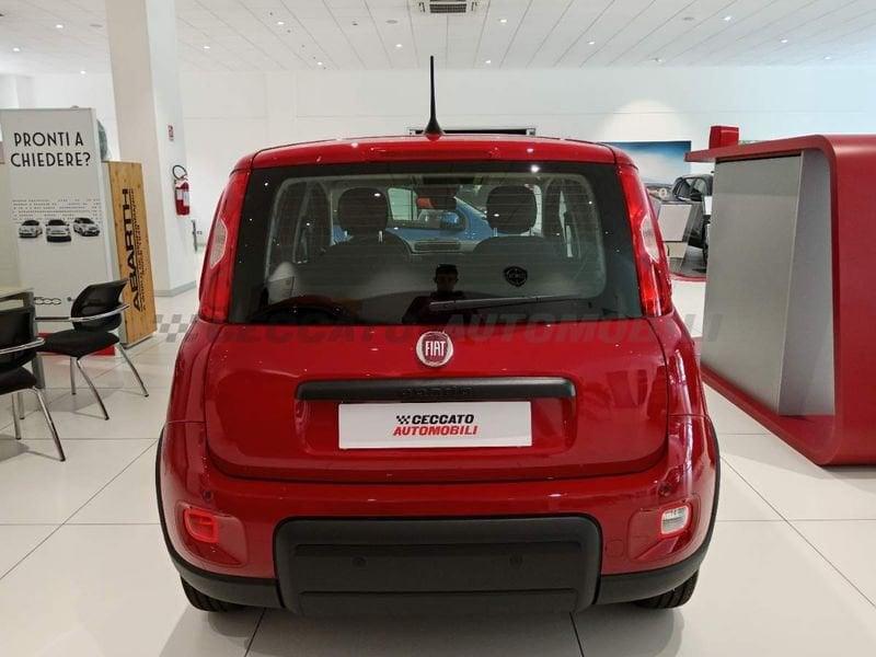 FIAT Panda 1.0 70cv Hybrid Panda