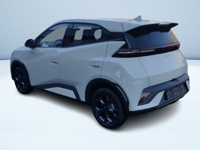 BYD Dolphin Surf Comfort