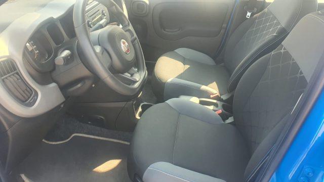 FIAT Panda 1.2 Pandazzurri UNICA-PREZZO REALE-FINANZIABILE
