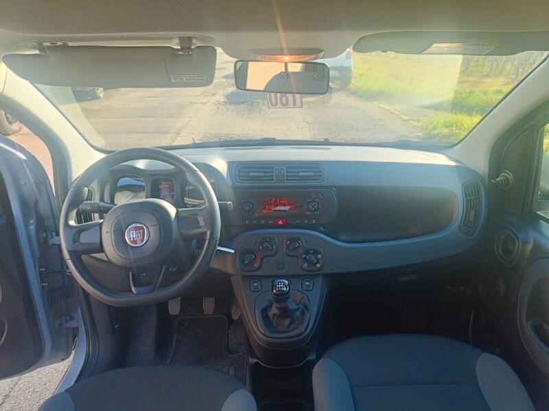 FIAT Panda 3ª serie Panda 1.0 FireFly S&S Hybrid