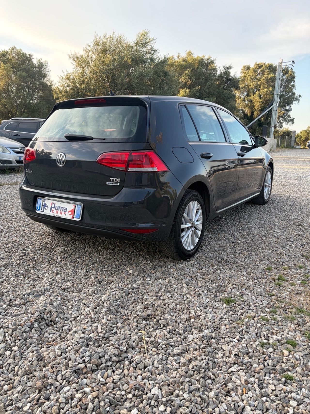 Volkswagen Golf Variant 1.6 TDI 90 CV Trendline BlueMotion Technology