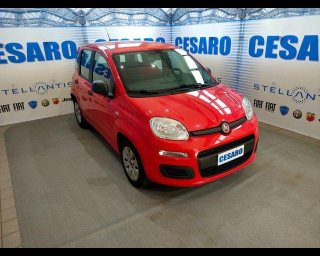 FIAT New Panda 1.2 69cv Easy