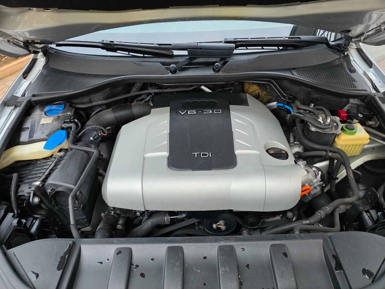 Audi Q7 3.0V6 TDI 233CV QUATRO TIPTRONIC