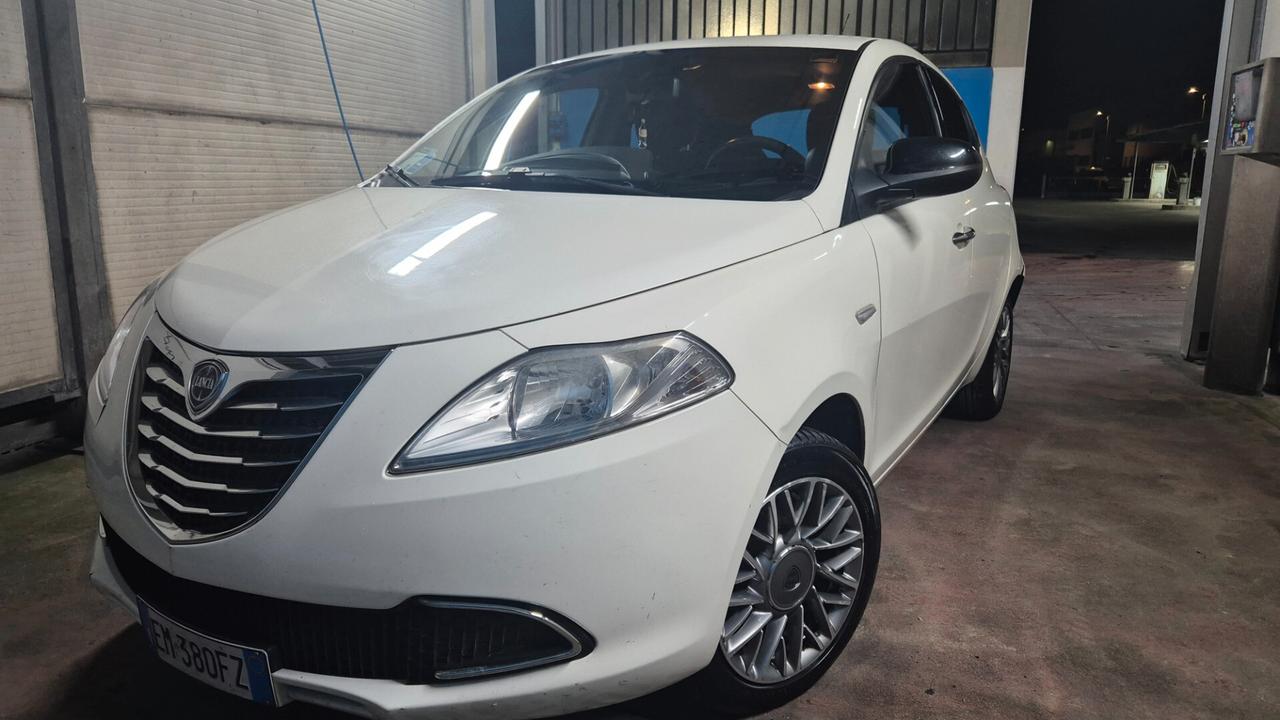 Lancia Ypsilon 1.3 MJT 16V 95 CV 5 porte S&S Gold