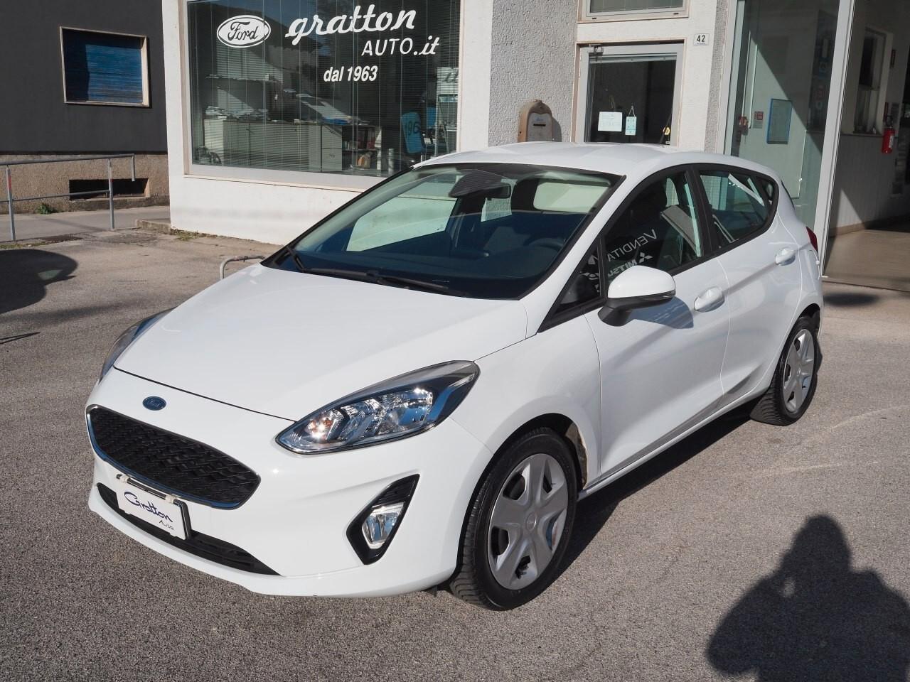 Ford Fiesta 1..1 Plus 5 porte benzina