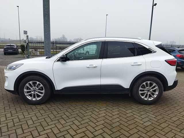 Ford Kuga 1.5 EcoBlue 120 CV 2WD Titanium Business