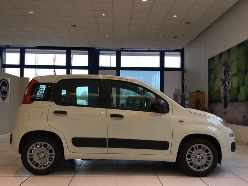 FIAT Panda Panda 1.0 FireFly S&S Hybrid Pop 65cv