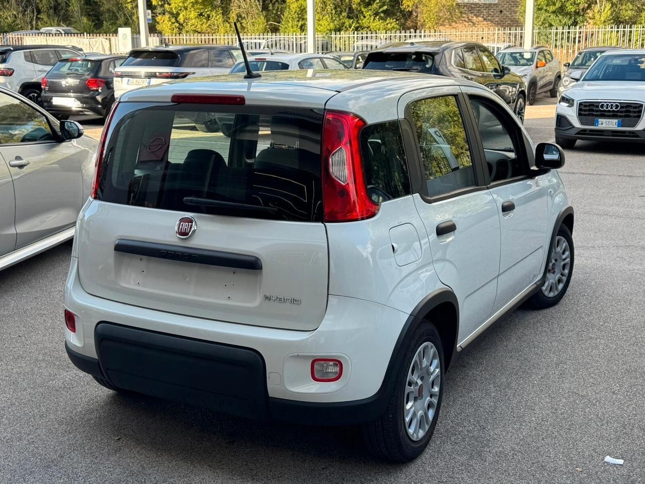 Fiat Panda Cross 1.0 FireFly S&S Hybrid GPL