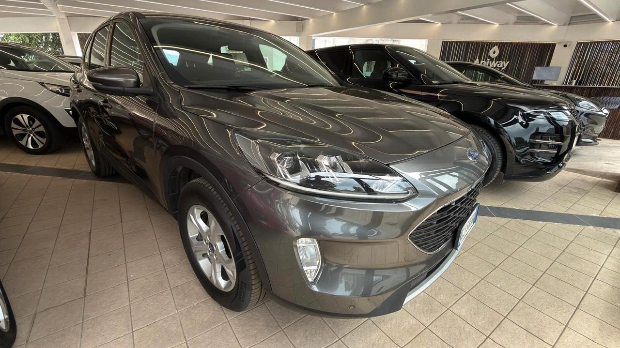 Kuga 1.5 EcoBlue 120 CV automatica 2WD Connect UNICO PROPRIETARIO