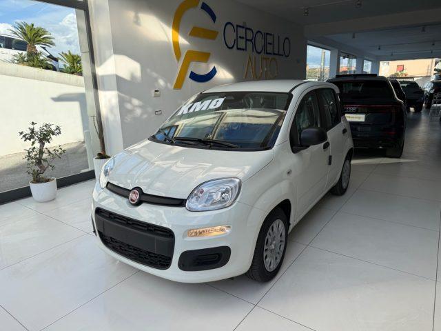 FIAT Panda 1.0 FireFly S&S Hybrid Pop da ?139,00 mensili