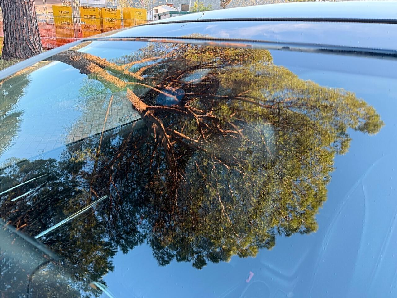 Lancia Delta 1.4 T-Jet 120 CV Gold Ecochic GPL,tetto apribile,pelle,cerchi 17,cruise control,comandi al volante,blu&me,sensori di parcheggio,full