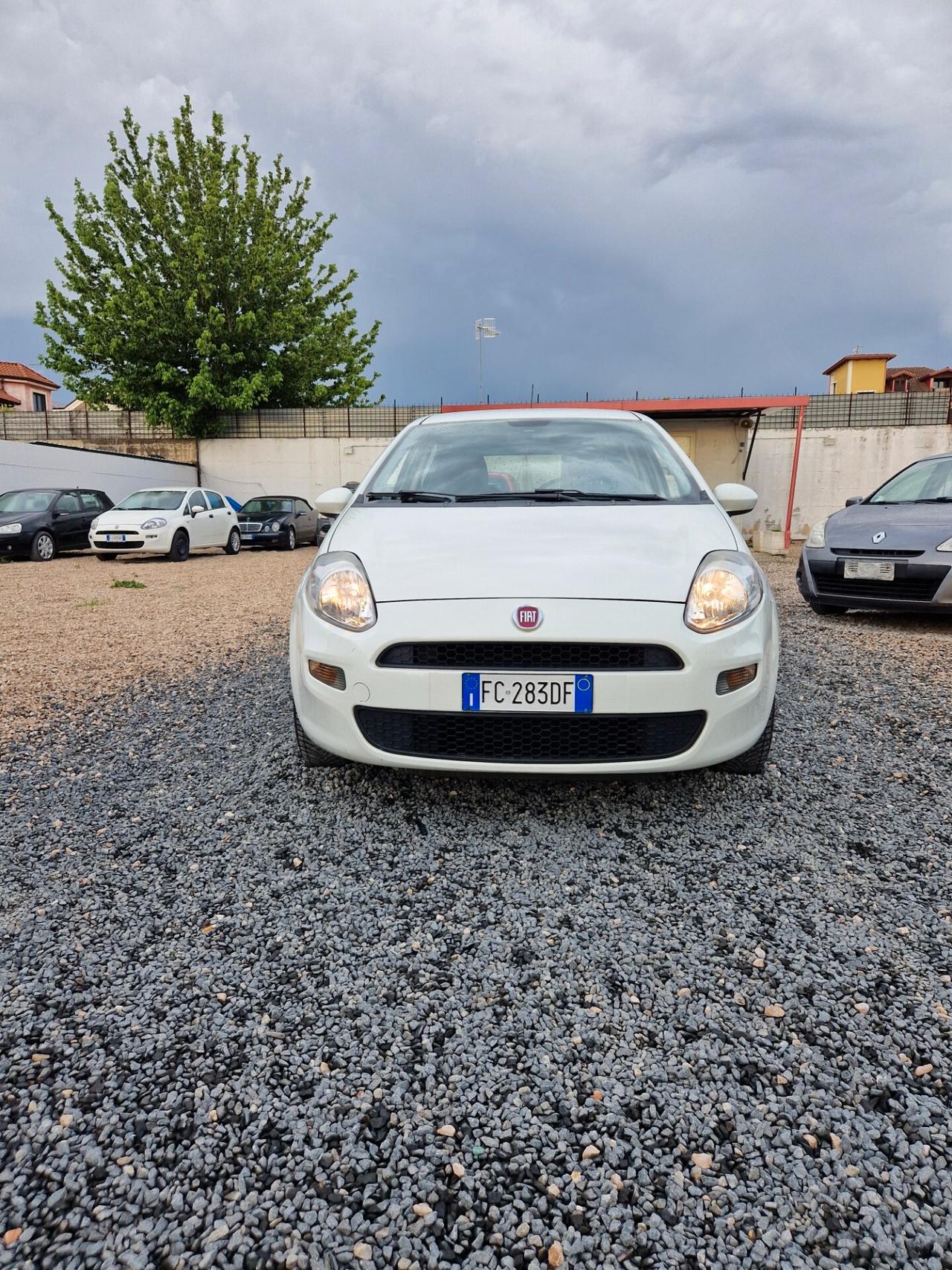 Fiat Punto 1.4 8V 5 porte Easypower Lounge