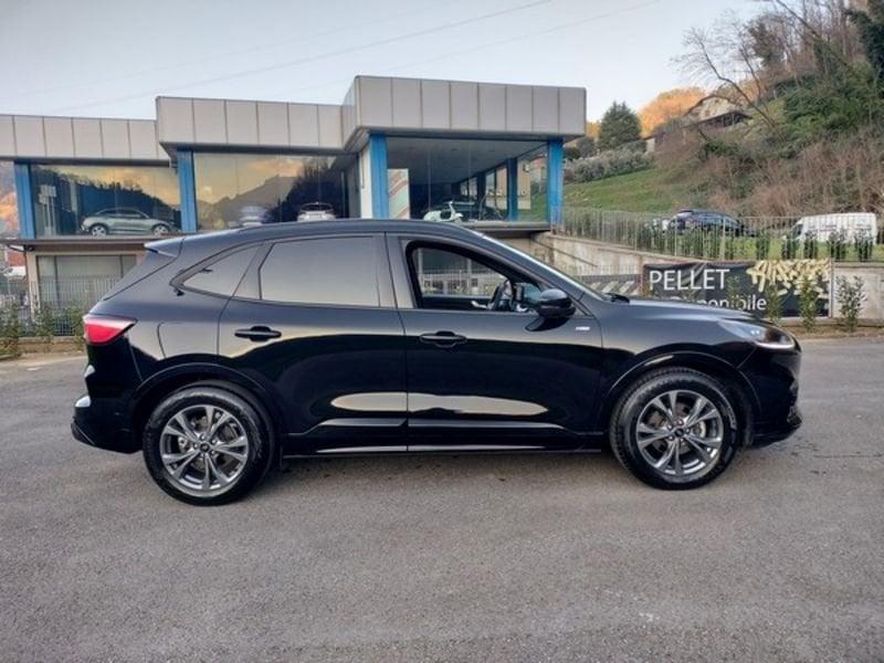 Ford Kuga Kuga 2.0 EcoBlue 120 CV aut. 2WD ST-Line