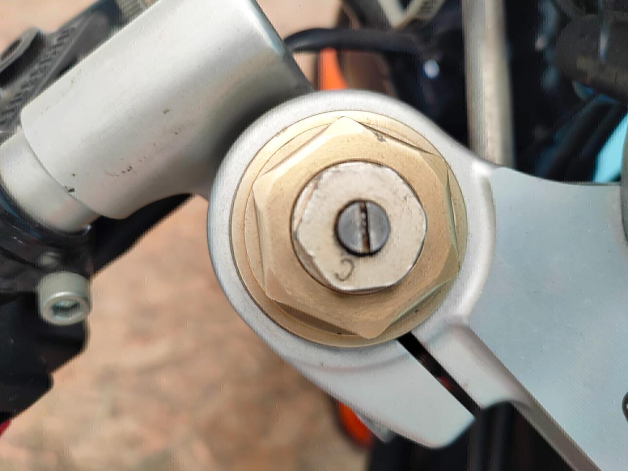 Triumph Thruxton CUP - Regina delle Cafe Racer