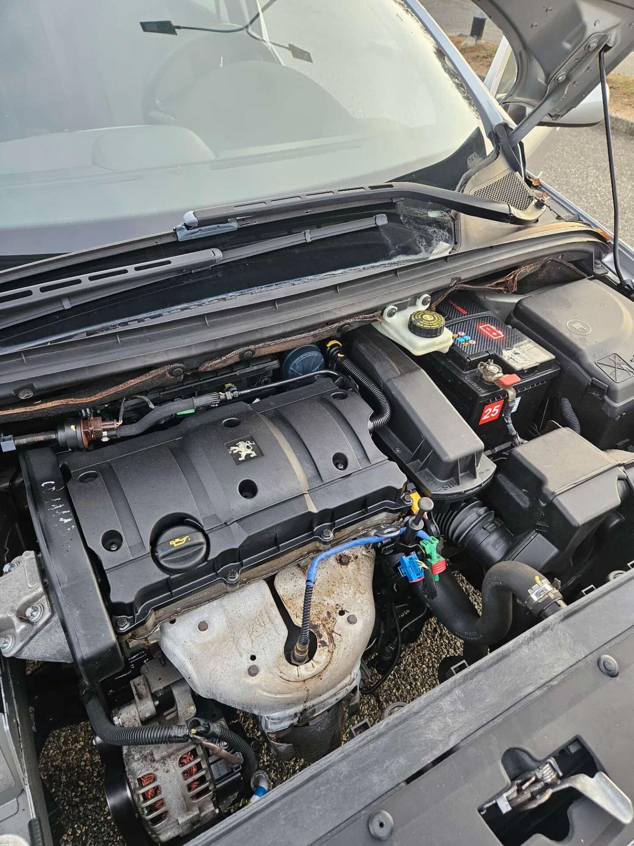 Peugeot 307 neopatentati