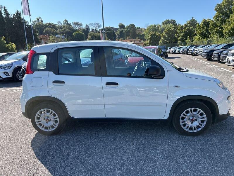 FIAT Panda New My23 1.0 70cv Hybrid Panda