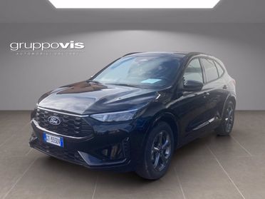 FORD Kuga full hybrid ST-Line 2wd Automatica del 2024