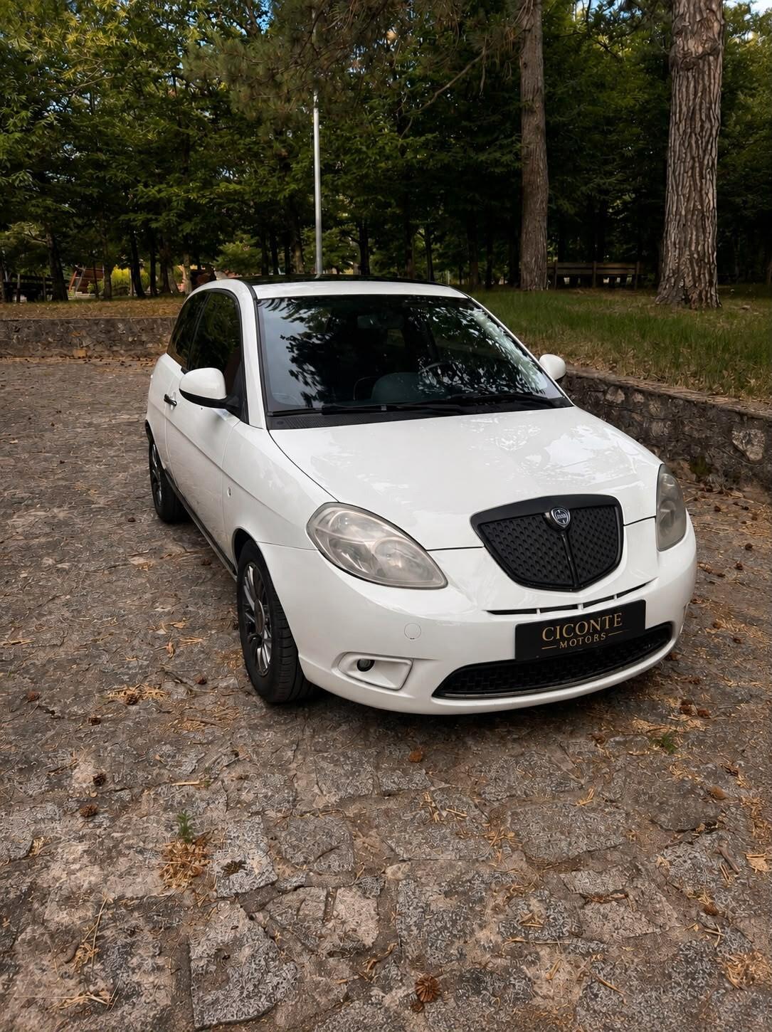 Lancia Ypsilon 1.3 MJT 75 CV Platino