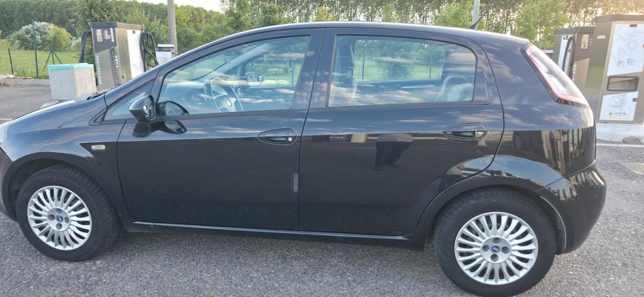 Fiat Punto 1.3 MJT II 75 CV 5 porte Easy neopatentati