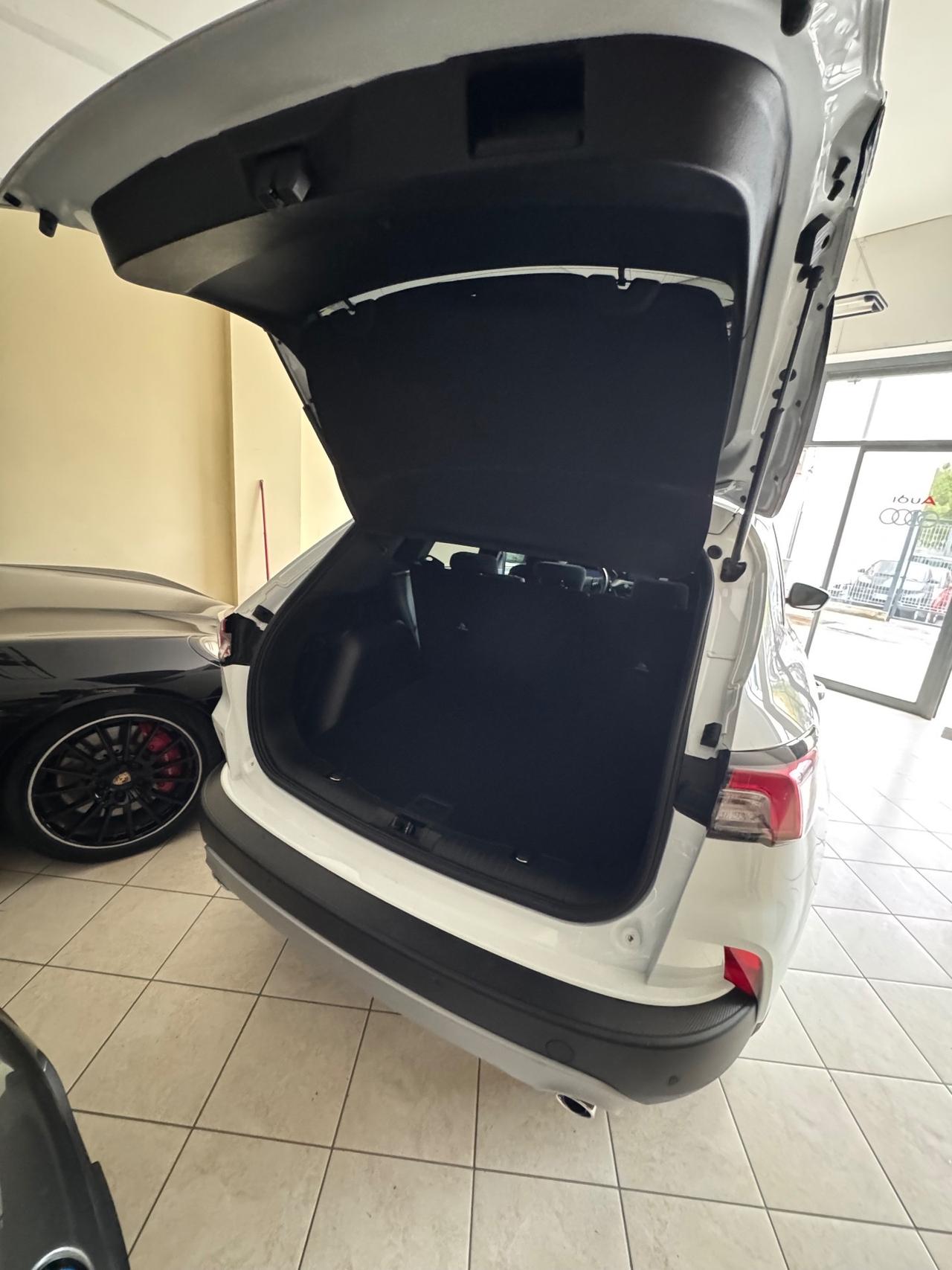 Ford Kuga 1.5 EcoBlue 120 CV aut. 2WD Titanium Business