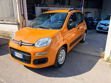 FIAT PANDA 1.2 69 CV EASY 2019