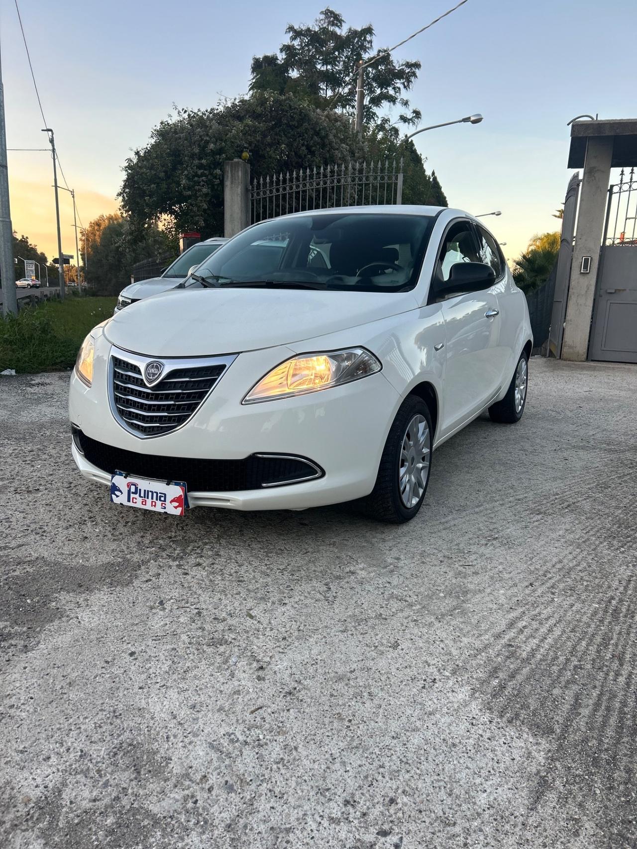 Lancia Ypsilon 1.2 69 CV 5 porte S&S Platinum